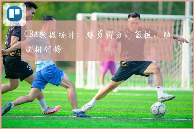 CBA数据统计：球员得分、篮板、助攻排行榜