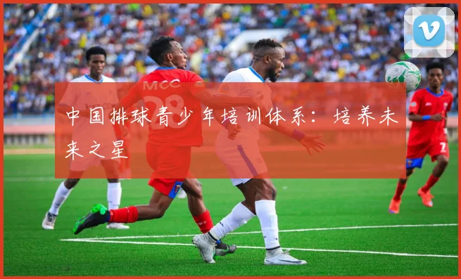 中国排球青少年培训体系：培养未来之星