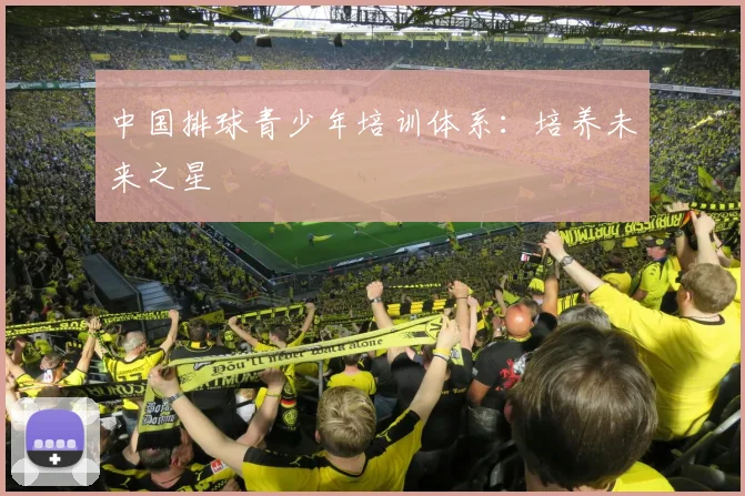 中国排球青少年培训体系：培养未来之星